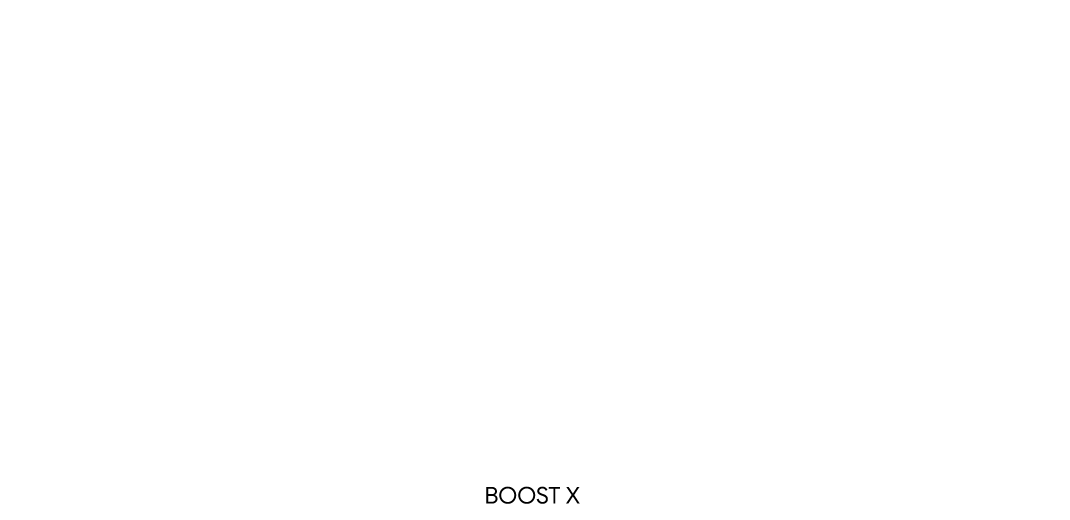 BOOSTX_09_1